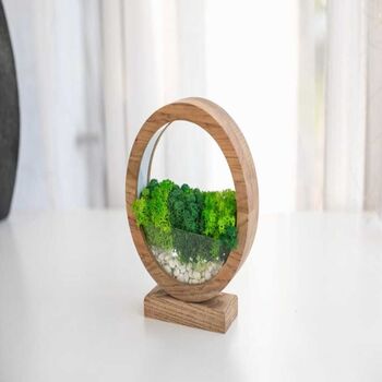 Round Wood Table Lamp With Preserved Moss, 10 of 12