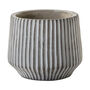 Clovelly Cement Planter, thumbnail 1 of 1