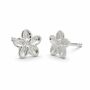 Sterling Silver Forget Me Not Stud Earrings, thumbnail 2 of 6
