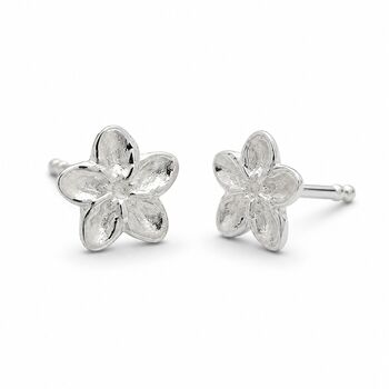 Sterling Silver Forget Me Not Stud Earrings, 2 of 6