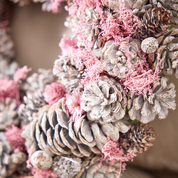 Sparkling Frosts Pinecone Indoor Wreath, 3 of 6