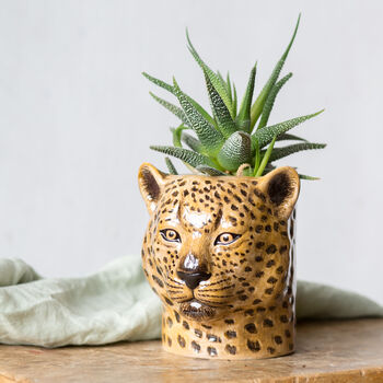Leopard Succulent Planter, 2 of 4