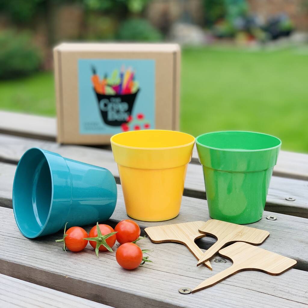 grow-your-own-cherry-tomatoes-kit-by-the-crop-box-notonthehighstreet