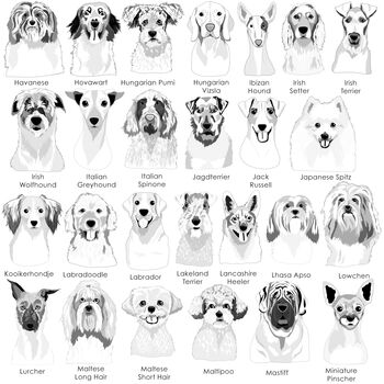 Pastel Silicone Silent Dog Name Tag Personalised, 6 of 10