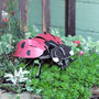 Build Your Own Personalised Ladybird, thumbnail 11 of 12