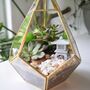 Gold Geometric Terrarium Kit With Succulent Or Cactus Christmas Gift For Plant Lover, thumbnail 1 of 11