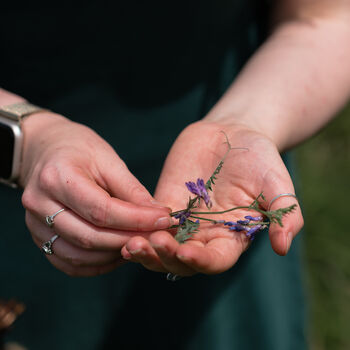 Summer Foraging Workshop For One In The South Downs, 8 of 11