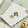 Botanist Archive Clementine Christmas Card, thumbnail 2 of 4