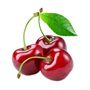 Cherry Tree, 'Summit', thumbnail 1 of 12