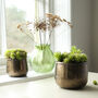 Brass Style Plant Pot, thumbnail 1 of 2