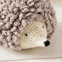 Hedgehog Crochet Kit, thumbnail 8 of 12