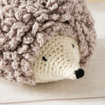 Hedgehog Crochet Kit, 8 of 12