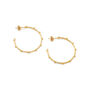 Gold Plated Studded Hoop Earrings, thumbnail 1 of 2