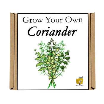 Gardening Gift. Grow Your Own Herbs. Coriander Seeds, 4 of 4