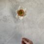 Everlasting Daffodil Spring Flower Crochet Craft Kit, thumbnail 2 of 4