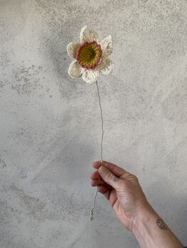 Everlasting Daffodil Spring Flower Crochet Craft Kit, 2 of 4