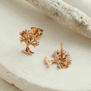 Sterling Silver Or Gold Plated Tree Stud Earrings, 12 of 12