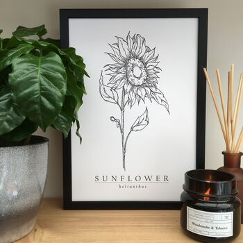 Hand Illustrated Sunflower Flower Print, 5 of 8
