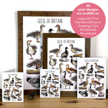 Geese Of Britain Greeting Card, 2 of 7