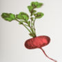 Red Radish Vegetable Wall Art, thumbnail 2 of 4