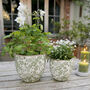 Green Meadow Flower Ceramic Plant Pot, thumbnail 1 of 2