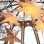 White Paper Star Lantern – Scandi Christmas Décor, Handmade And Reusable, thumbnail 8 of 10