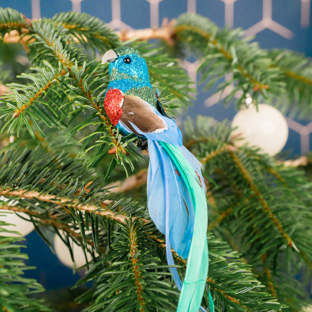 Set Of Three Multi Coloured Clip On Bird Decorations By Posh Totty