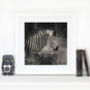 Zebra Black And White Print, thumbnail 1 of 3