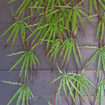 100cm Artificial Hanging Acer Spider Plant, 2 of 4