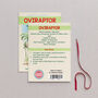 Wooden Oviraptor Dinosaur Christmas Tree Decoration, thumbnail 2 of 3