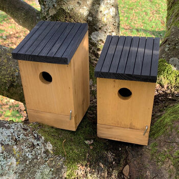 Set Of Four Traditional Wooden Bird Nest Boxes, 4 of 6