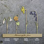 Wooden Personalised Family Birth Flowers, thumbnail 7 of 11