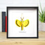 Yellow Umbrella Stick Insect Bug Moth Butterfly Box Frame Entomology Taxidermy Interior Design Modern Home Decor Wall Hanging Display Gift Ornament, thumbnail 1 of 3