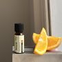 Pure Essential Oils Single Oils For Aromatherapy And Home Fragrance, thumbnail 3 of 12