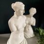 Venus Classical Statue Bookends, thumbnail 4 of 5