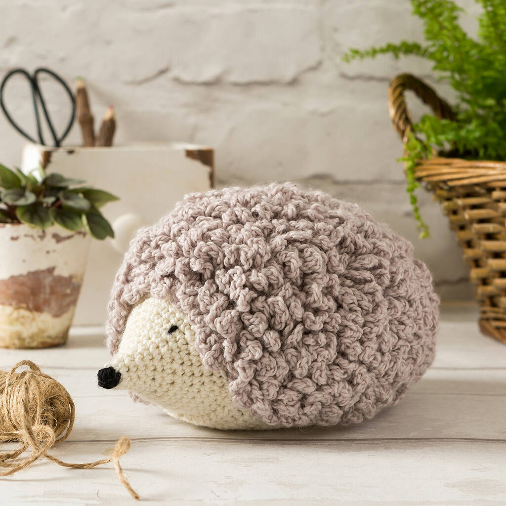Hedgehog Crochet Kit, 1 of 12