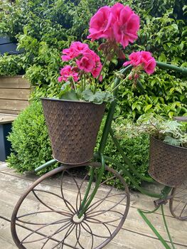 Steel Bike Planter, 3 of 12