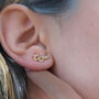 Sparkling Leaf Branch Gold Plated Stud Earrings, thumbnail 5 of 5