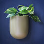 Olive Green Ceramic Wall Planter, thumbnail 1 of 5