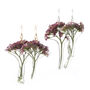 Purple Bouquet Pressed Flower Resin Earrings, thumbnail 3 of 3