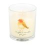 Robin Remembrance Cranberry And Clove Candle, thumbnail 2 of 2
