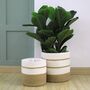 Pack Of Two Flower Planter Storage Containers, thumbnail 12 of 12