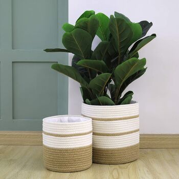 Pack Of Two Flower Planter Storage Containers, 12 of 12