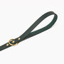 Personalised Green Leather Dog And Puppy Lead, thumbnail 1 of 4