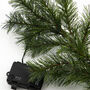 Spruce Christmas Garland, thumbnail 6 of 6