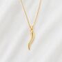 Horn Of Plenty Cornicello Charm Necklace, thumbnail 2 of 5