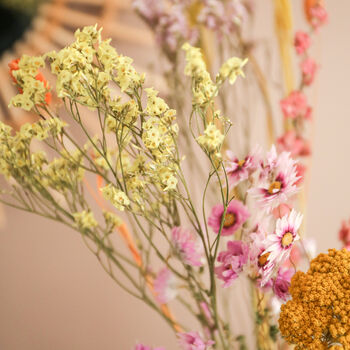 Spring Meadow Large Dried Flower Letterbox Gift, 3 of 6