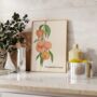 Peach Fruit Print, thumbnail 4 of 6