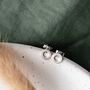 Small Circle Stud Earrings In Sterling Silver, thumbnail 1 of 6
