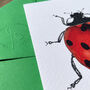Hand Drawn Ladybird Illustrated Blank Greeting Card, thumbnail 6 of 10